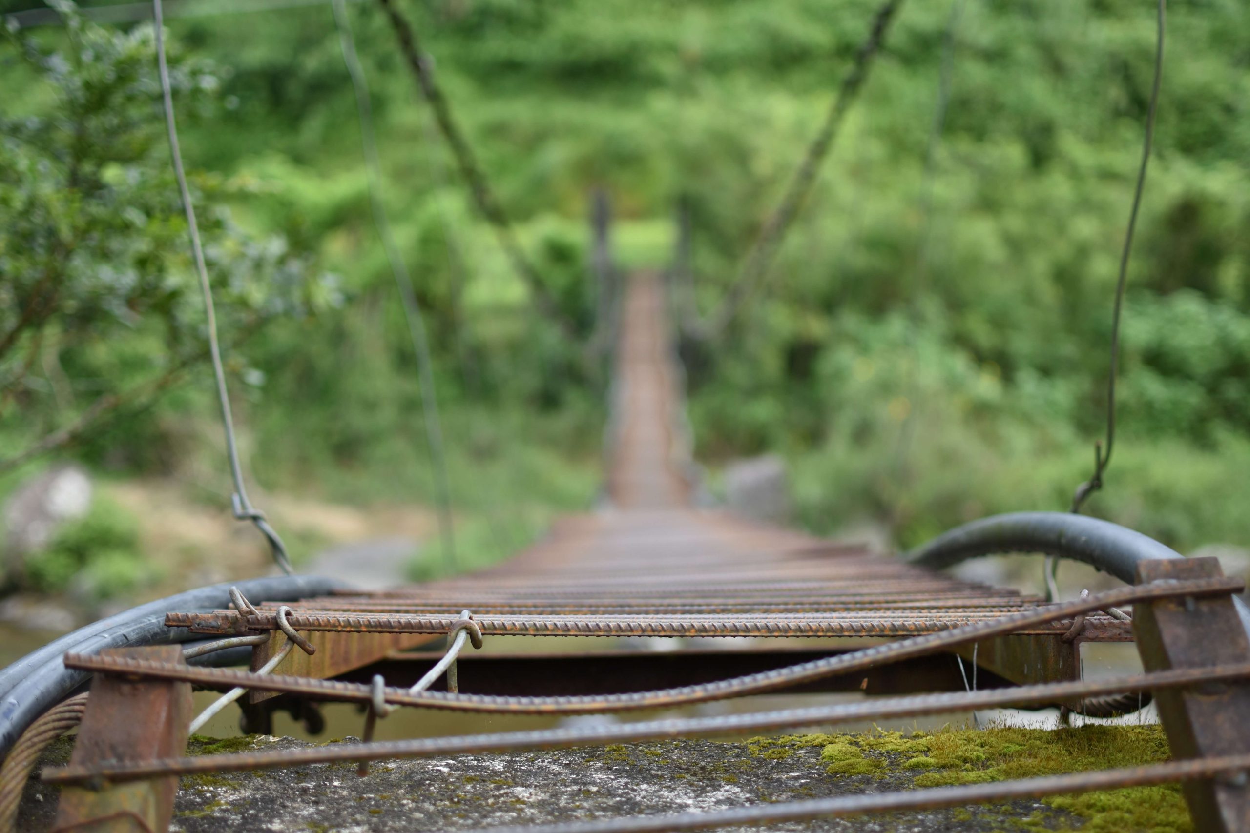 プロフィールの背景